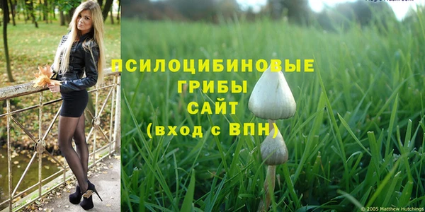 марки nbome Беломорск