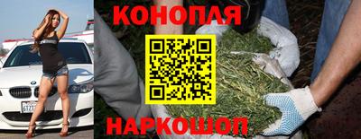 соль ск Свободный