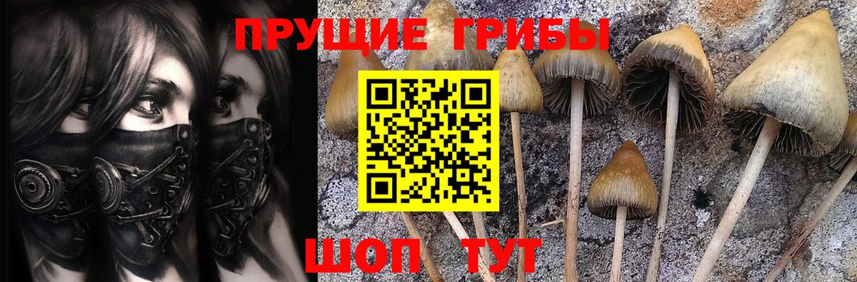 наркота  Галлюциногенные грибы мухоморы  Вход с VPN  Реж 
