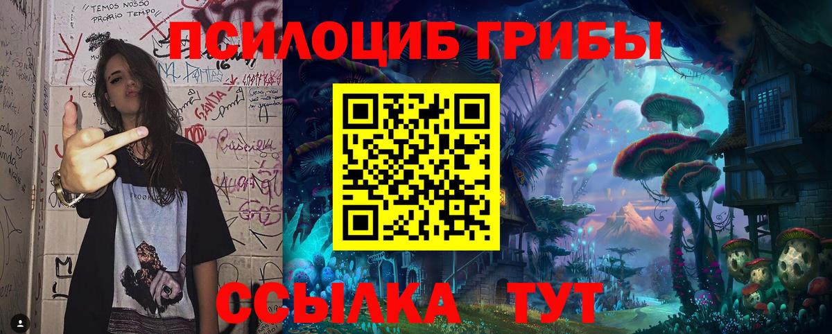 Псилоцибиновые грибы Cubensis Реж